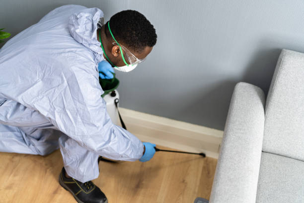 Best Commercial Pest Control  in Daytona Beach, FL